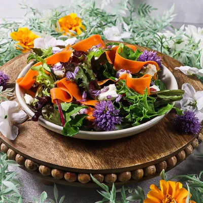 An Elven Feast in Rivendell